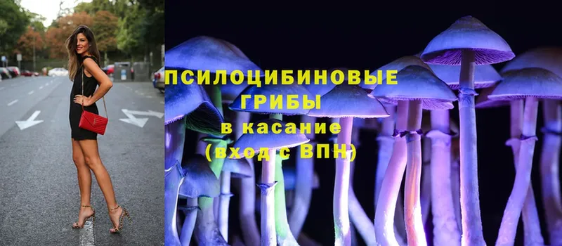 Псилоцибиновые грибы Psilocybine cubensis  сколько стоит  Учалы 